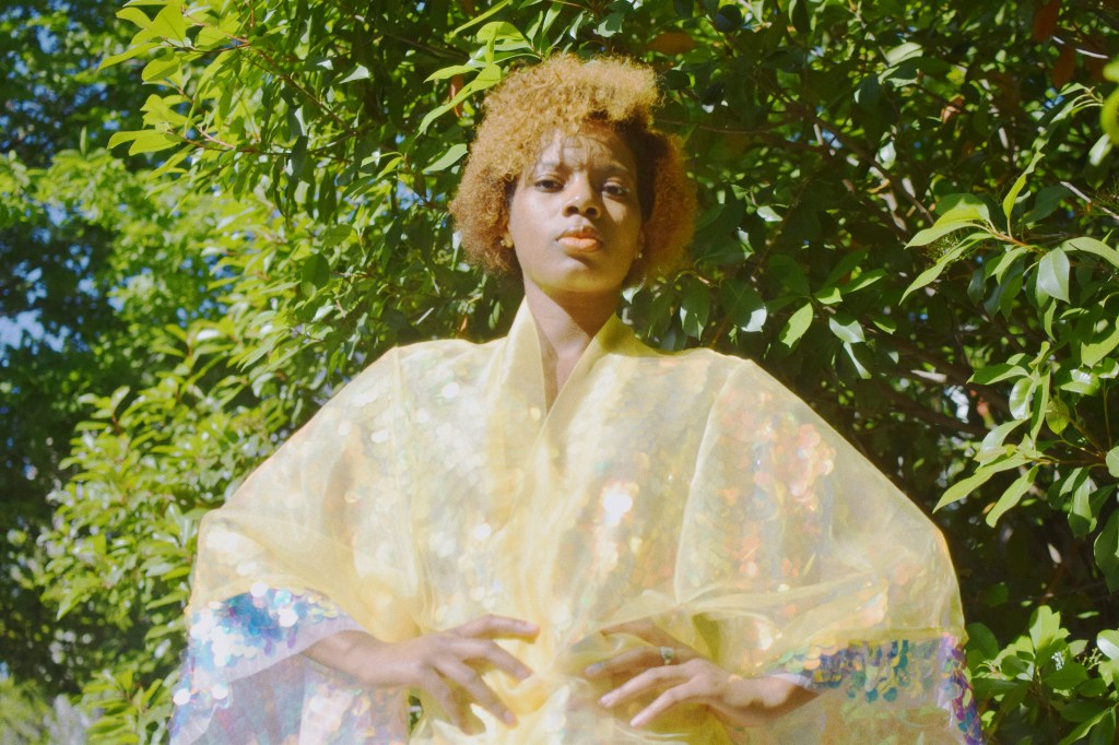 The Wanderer and the Seeker by Francesca&nbsp;Neely-Dickey